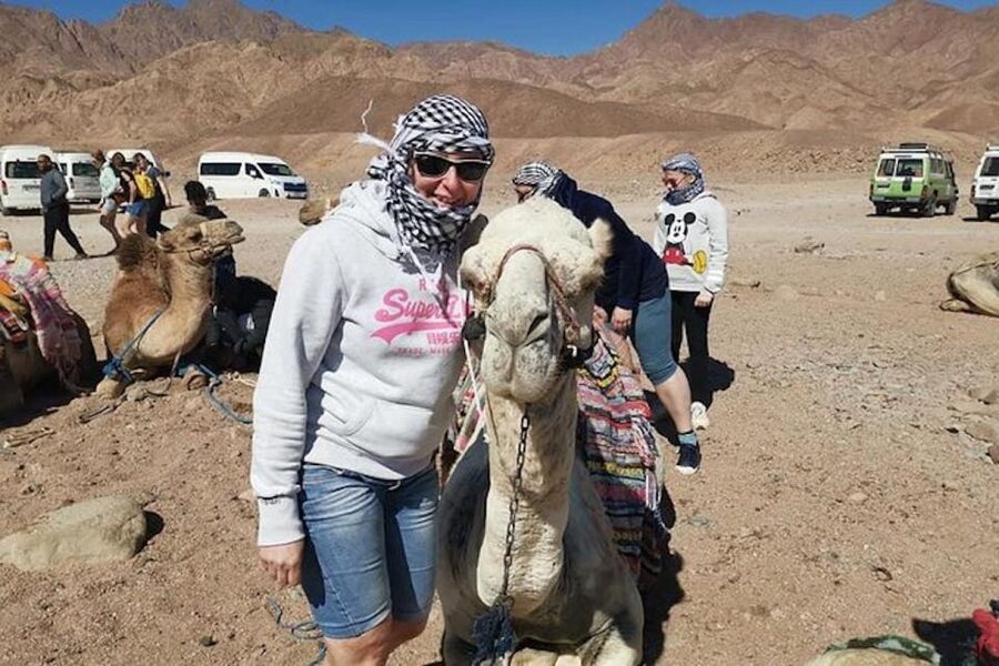 Sharm El-Sheikh: Parasailing, Camel Ride, Dive & Quad Bike - Parasailing above Sharm El-Sheikh