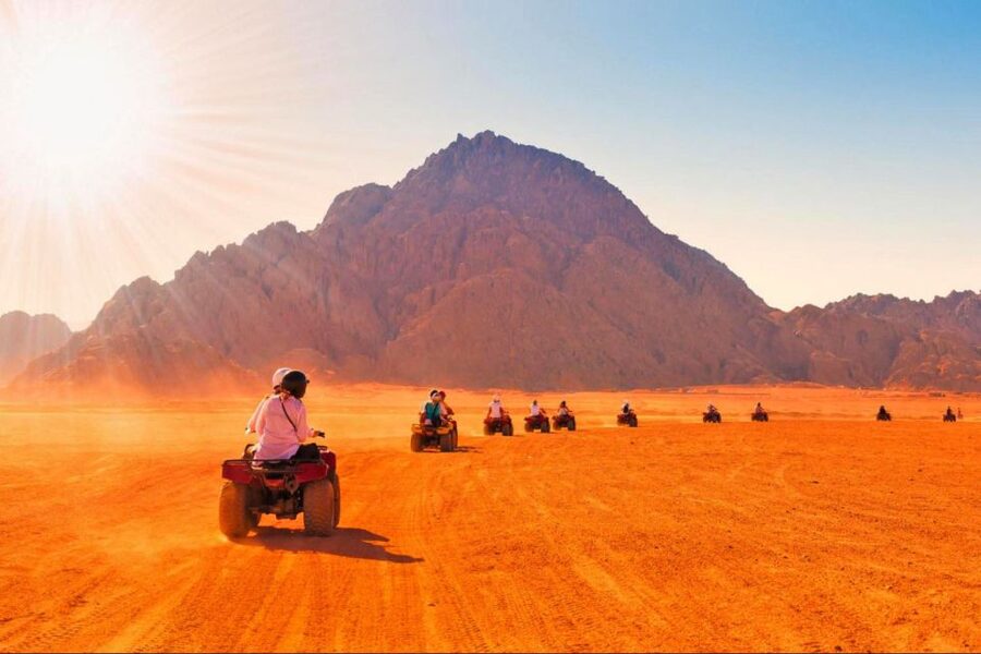 Sharm El-Sheikh: Parasailing, Camel Ride, Dive & Quad Bike - The three options, compared plainly