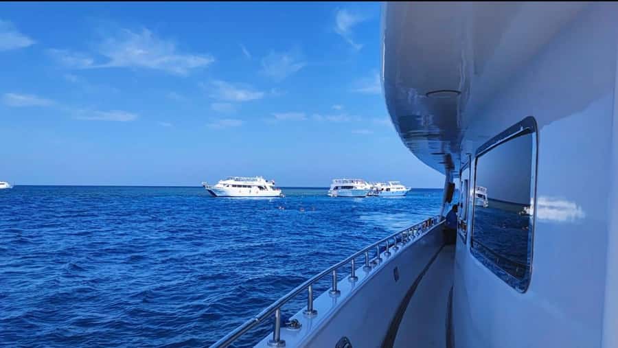 Sharm el-Sheikh: Premium Ras Mohammed & White Island Cruise - Snorkeling at the park’s coral reefs
