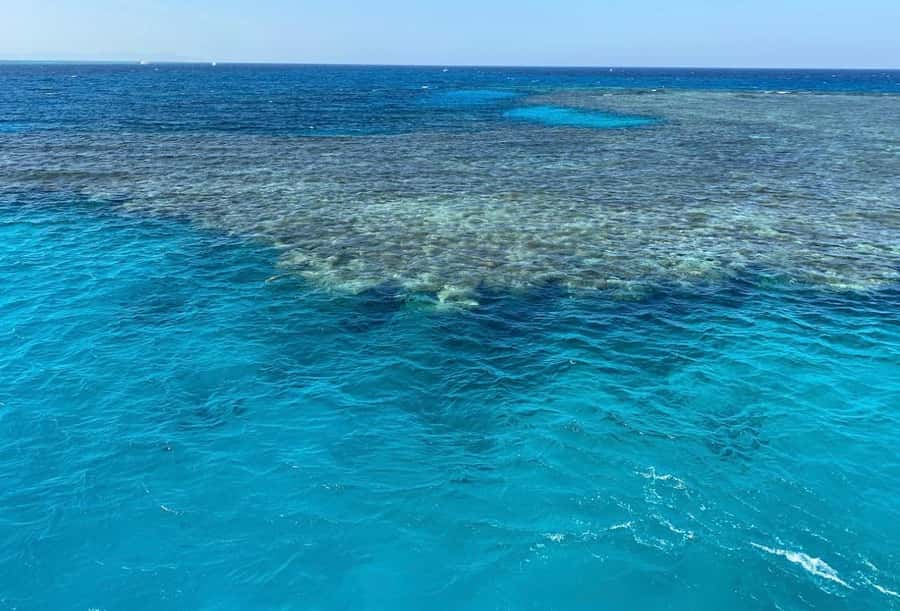 Sharm el-Sheikh: Premium Ras Mohammed & White Island Cruise - White Island: beautiful, small, and busy