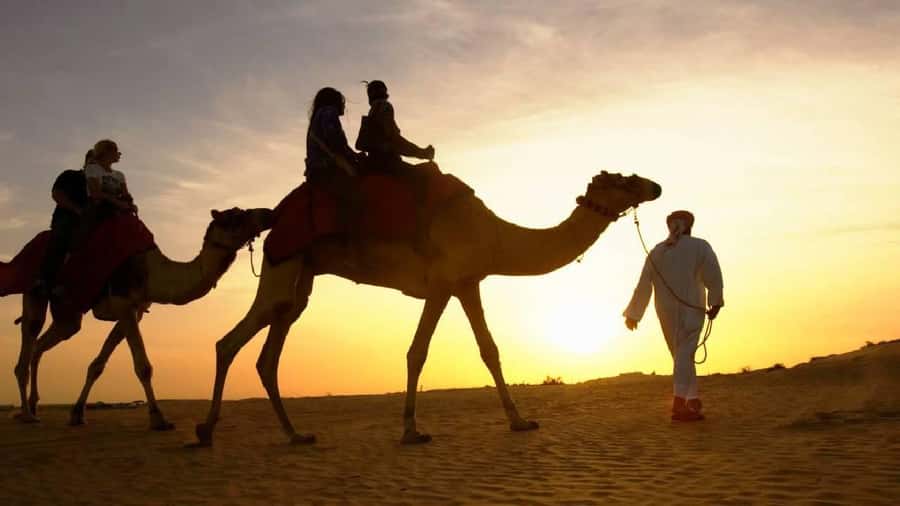 Sharm El Sheikh: Quad Biking, Camel Ride & Bedouin Dinner. - Key points before you book