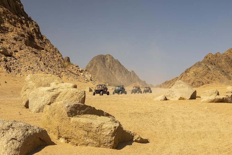 Sharm El Sheikh: Quad Biking & Desert Safari with Pickup - Key points to know before you book