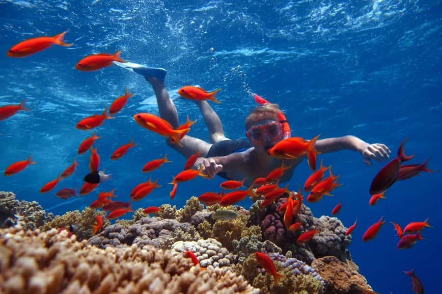 Sharm El Sheikh: Ras Mohamed Cruise with Snorkeling & Lunch - The cruise south takes about two and a half hours