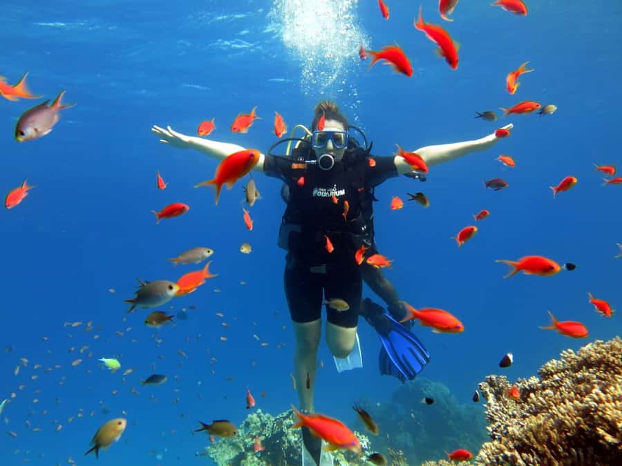 Sharm El Sheikh: Ras Mohamed Cruise with Snorkeling & Lunch - First water stop: Ras Mohamed’s coral reef