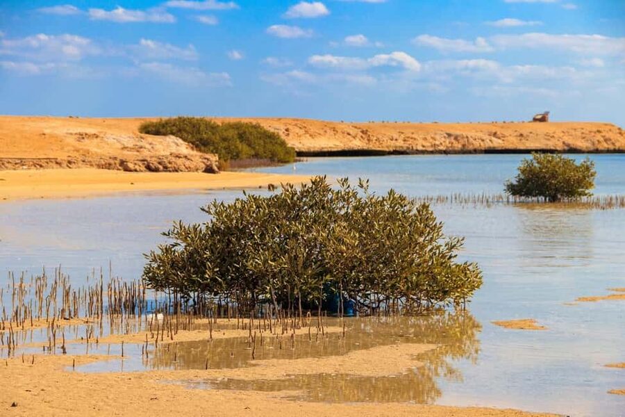 Sharm El-Sheikh: Ras Mohamed Half-Day Tour & Allah's Gate - Why this half-day trip works so well from Sharm