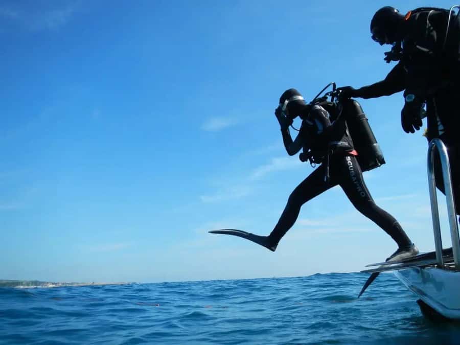 Sharm El Sheikh: Ras Mohamed & White Island Dive & Snorkel - The yacht sets the tone for the day