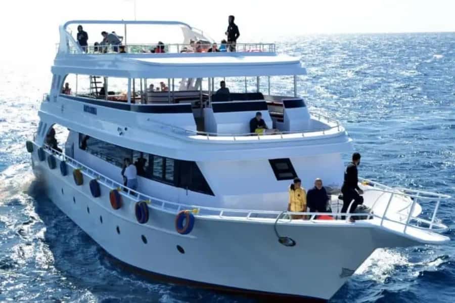 Sharm El Sheikh: Ras Mohamed & White Island Dive & Snorkel - The hotel pickup and morning start