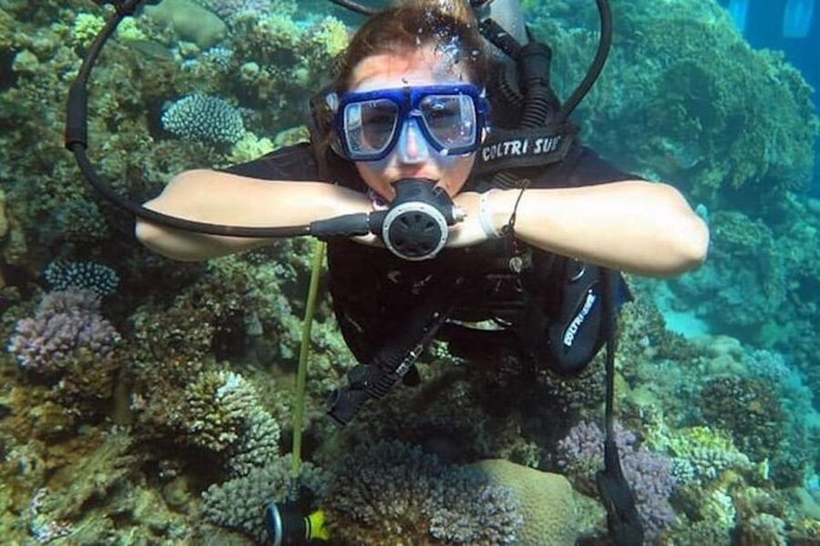 Sharm El Sheikh: Ras Mohamed & White Island Snorkel or Dive - Five useful facts before you book