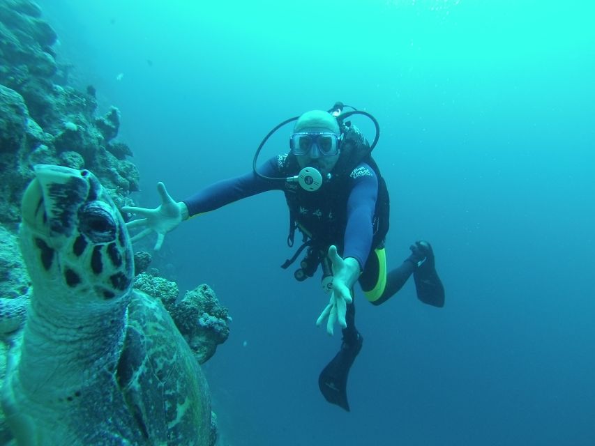 Sharm El Sheikh: Ras Mohamed & White Island Snorkel or Dive - Leaving Sharm El Sheikh for Ras Mohamed