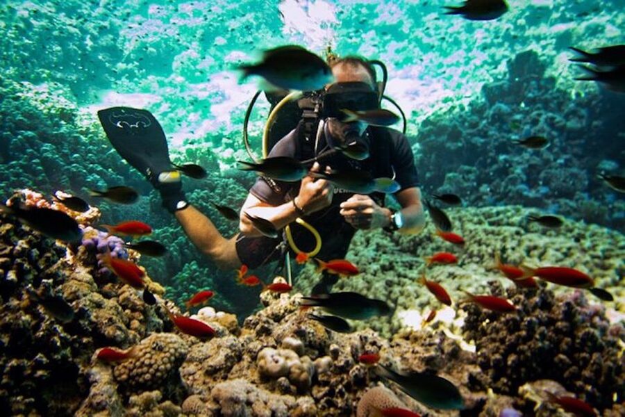 Sharm El Sheikh: Ras Mohamed & White Island Snorkel or Dive - Ras Mohamed’s clear water and coral reefs