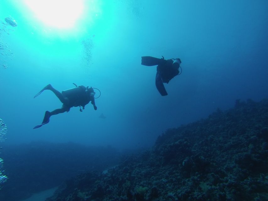Sharm El Sheikh: Ras Mohamed & White Island Snorkel or Dive - White Island, a bright break in the day