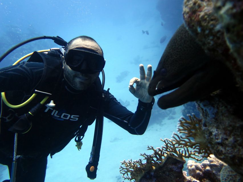 Sharm El Sheikh: Ras Mohamed & White Island Snorkel or Dive - Snorkeling, introduction scuba, or a certified program?