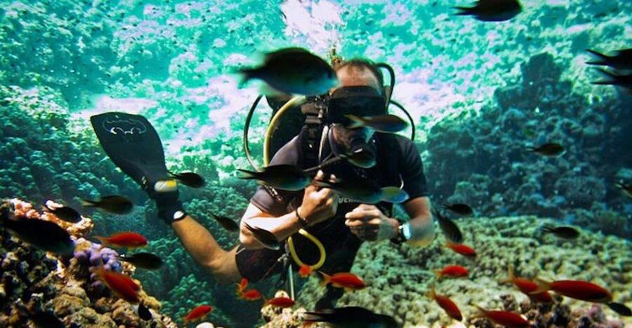 Sharm El Sheikh: Ras Mohamed & White Island Snorkel or Dive - Meeting the crew and choosing your water time