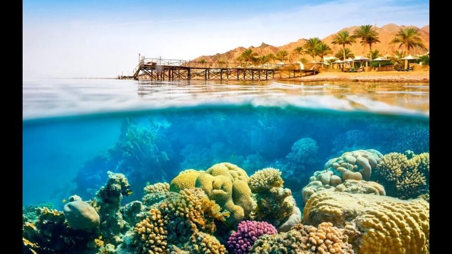 Sharm El-Sheikh: Ras Mohamed & White Island Snorkeling Trip - Who will enjoy this trip most