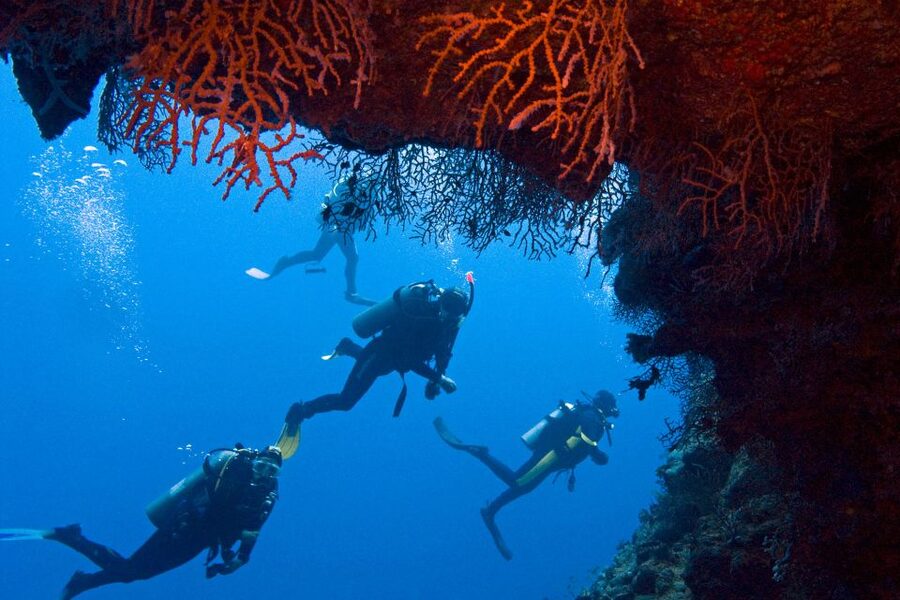 Sharm El-Sheikh: Ras Mohamed & White Island Snorkeling Trip - From your Sharm hotel to the Red Sea