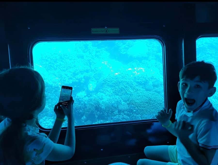 Sharm El-Sheikh: Royal Seascope Submarine Cruise with Pickup - The marina wait can shape your mood