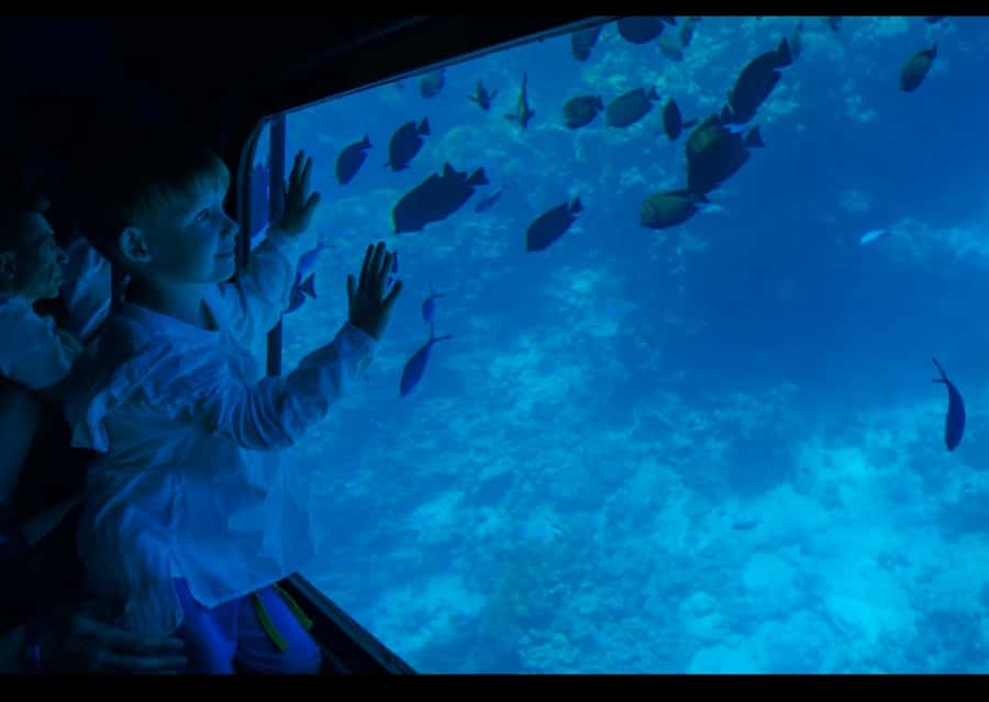Sharm El-Sheikh: Royal Seascope Submarine Cruise with Pickup - Pickup from Sharm El-Sheikh