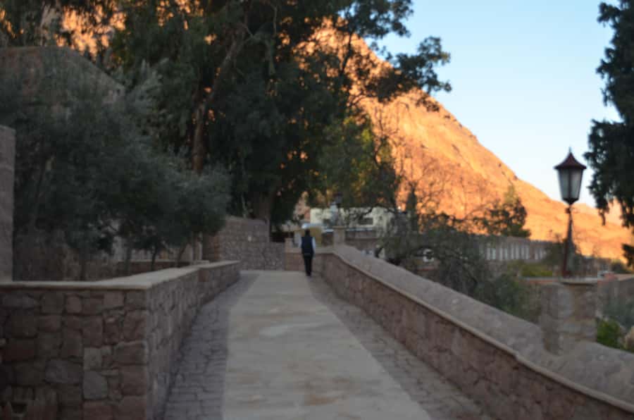 Sharm El Sheikh: Saint Catherine's Monastery Private Tour - The Chapel of the Burning Bush