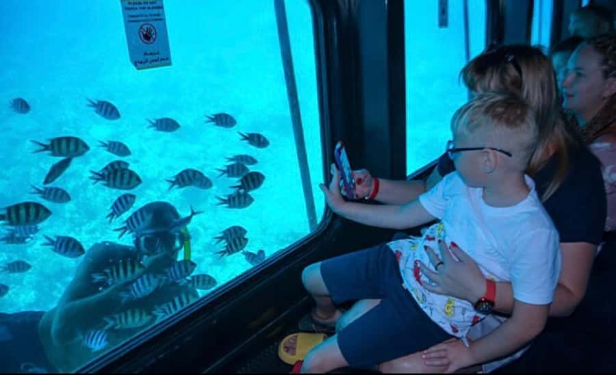 Sharm El-Sheikh: Seascope Submarine boat cruise with pickup - Key points to know before booking
