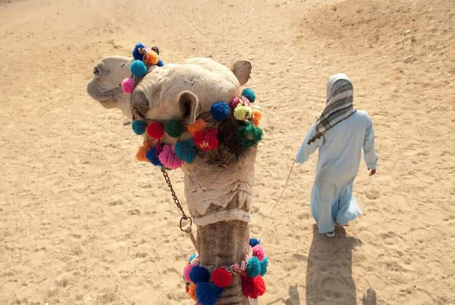 Sharm El-Sheikh: Ultimate ATV Quad, Stargazing & BBQ Dinner - Who Should Book This Desert Experience?