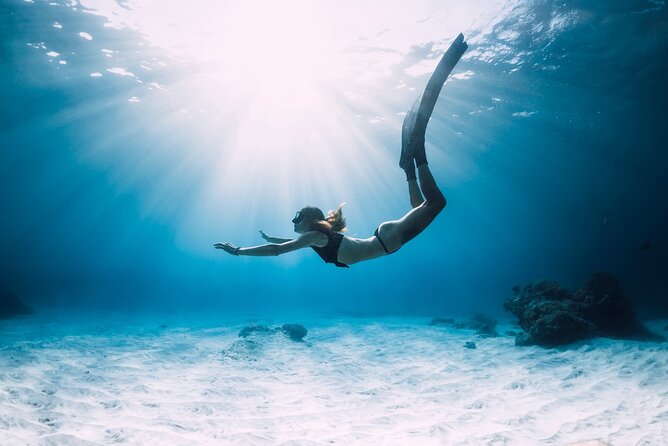 Sharm El Sheikh: White Island and Ras Mohamed Cruise Adventure - What makes this Red Sea cruise worth considering