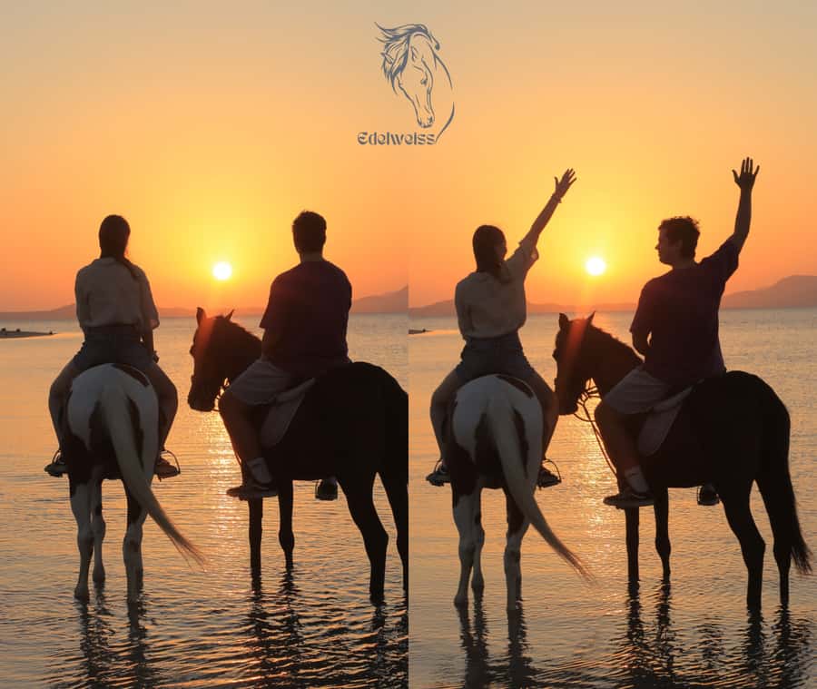Sharm El Shiekh: Beach and City Desert Horse Riding Tour - What the two hours really include