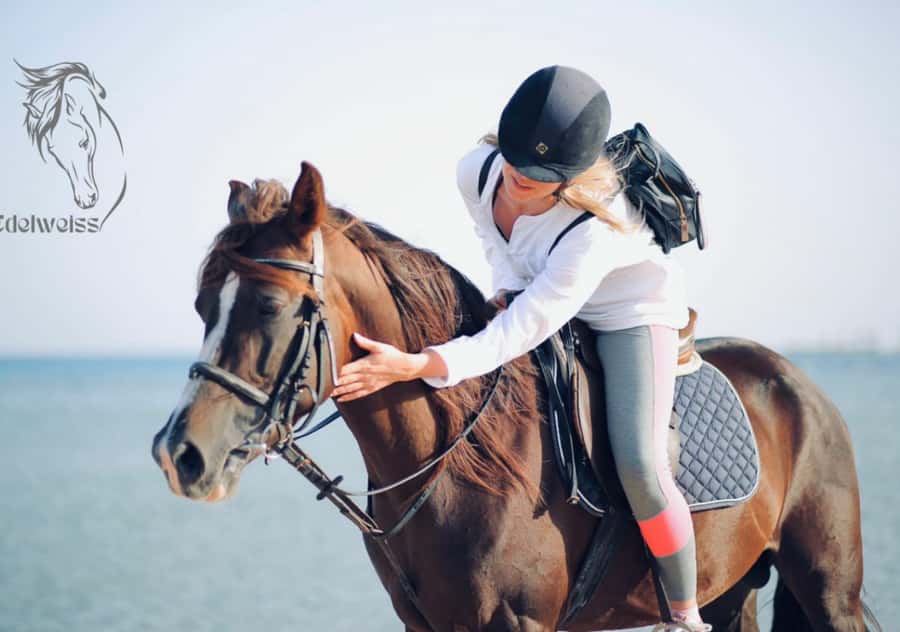 Sharm El Shiekh: Beach and City Desert Horse Riding Tour - Reaching the beach and Red Sea water