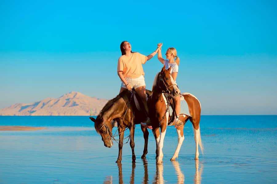 Sharm El Shiekh: Beach and City Desert Horse Riding Tour - What to wear and what to bring