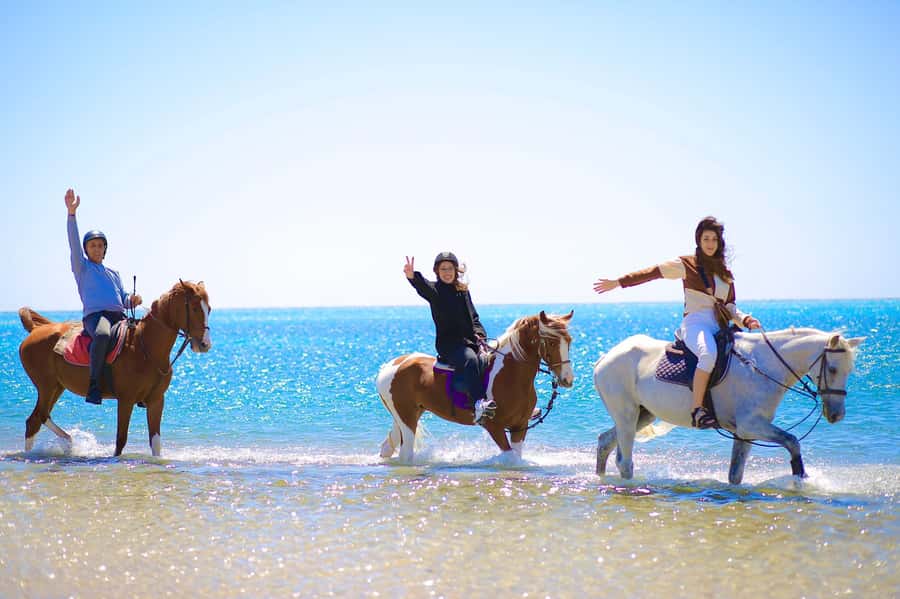 Sharm El Shiekh: Beach and City Desert Horse Riding Tour - Starting at Edelweiss Equestrian Center