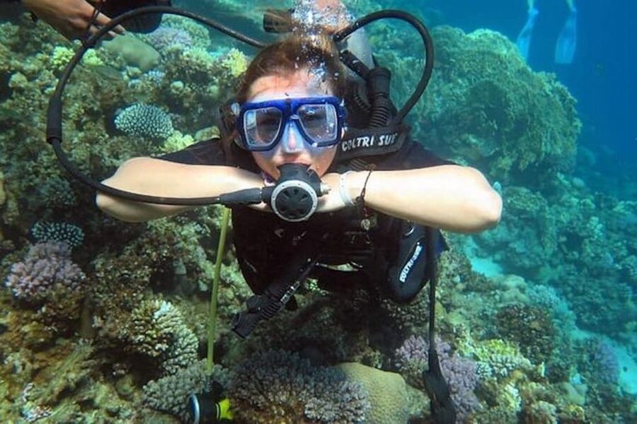Sharm: Introductory Dive from the Shore & PADI Courses - Key points to know before booking