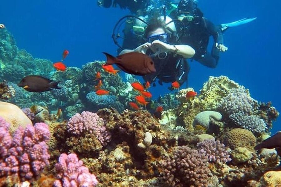 Sharm: Introductory Dive from the Shore & PADI Courses - The two to three day PADI Open Water route