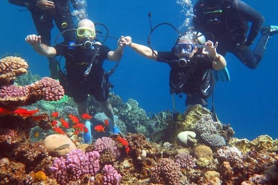 Sharm: Introductory Dive from the Shore & PADI Courses - Equipment, clothing, and what to bring