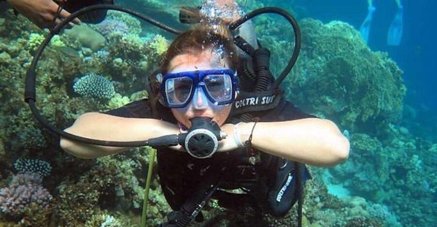 Sharm: Introductory Dive from the Shore & PADI Courses - Starting at Fanar Beach in Hadaba