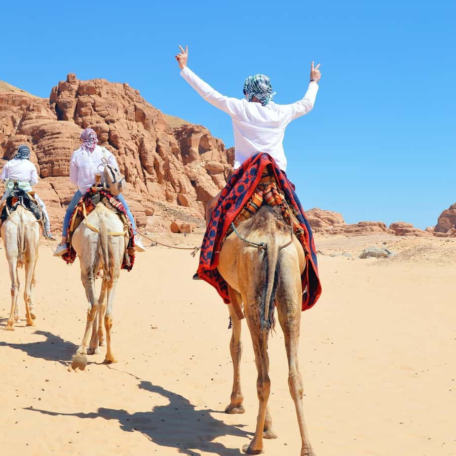 Sharm: Water Sports Adventure Day with Hotel Transfer - The 8:15 AM hotel pickup