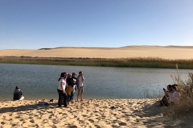 Siwa Oasis Tour 3 Day 2 Nights from Cairo - The overnight bus from Cairo to Siwa