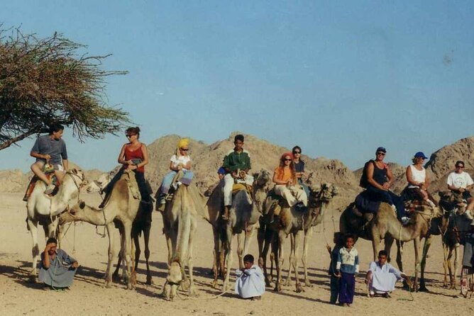 Small Group Full Day Hurghada Experience with BBQ and Show - Camel riding and traditional Bedouin tea