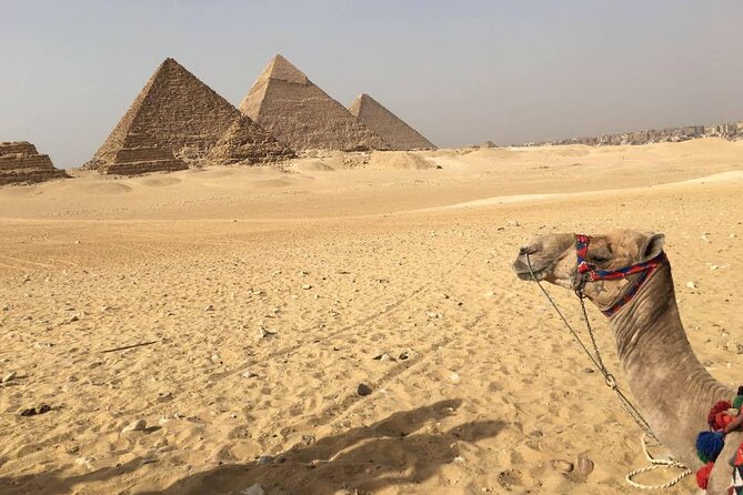 small group trip to Cairo from Hurghada - The Egyptian Museum: famous treasures, limited time