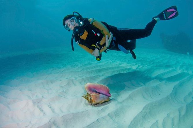 Snorkeling Day Trip in Hurghada - Smart ways to prepare