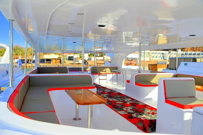 Snorkeling Day Trip To White Island And Ras Mohammed By VIP Boat - The morning pickup and port transfer