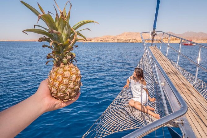 Snorkeling trip to Ras Mohamed & The White Island aboard Luxury Yacht - Group size, service, and guide expectations