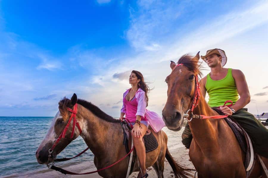 Soma Bay: Horse Riding Beach and Desert Tour With Transfer - Key points about the Soma Bay ride