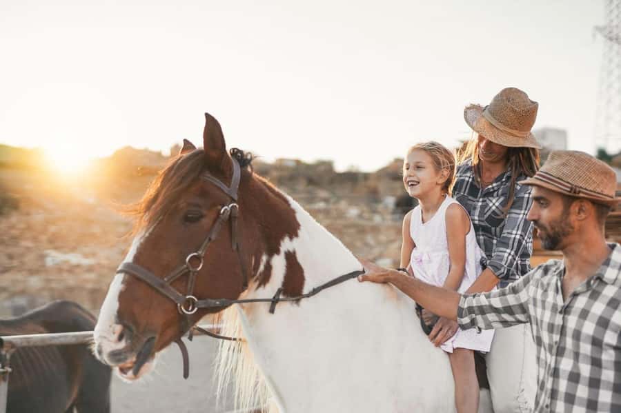 Soma Bay: Horse Riding Beach and Desert Tour With Transfer - Starting with a hotel transfer to the equestrian center