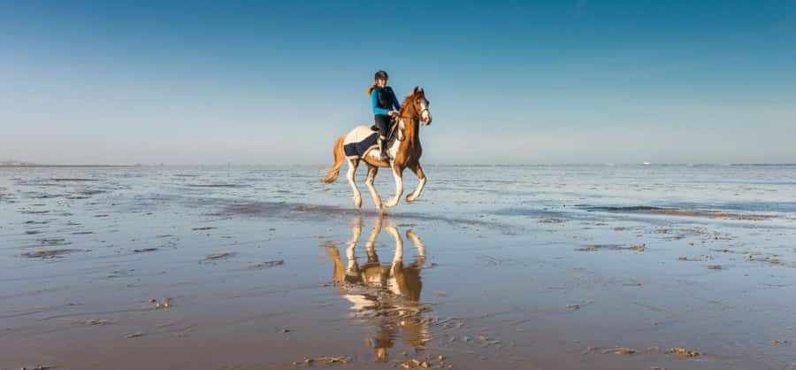 Soma Bay: Horse Riding Beach and Desert Tour With Transfer - Riding through the golden desert