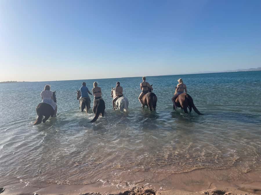 Soma Bay: Horse Riding Beach and Desert Tour With Transfer - Following the Red Sea beach