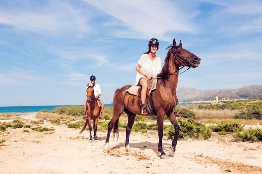 Soma Bay: Horse Riding Beach and Desert Tour With Transfer - How the two-hour pace feels