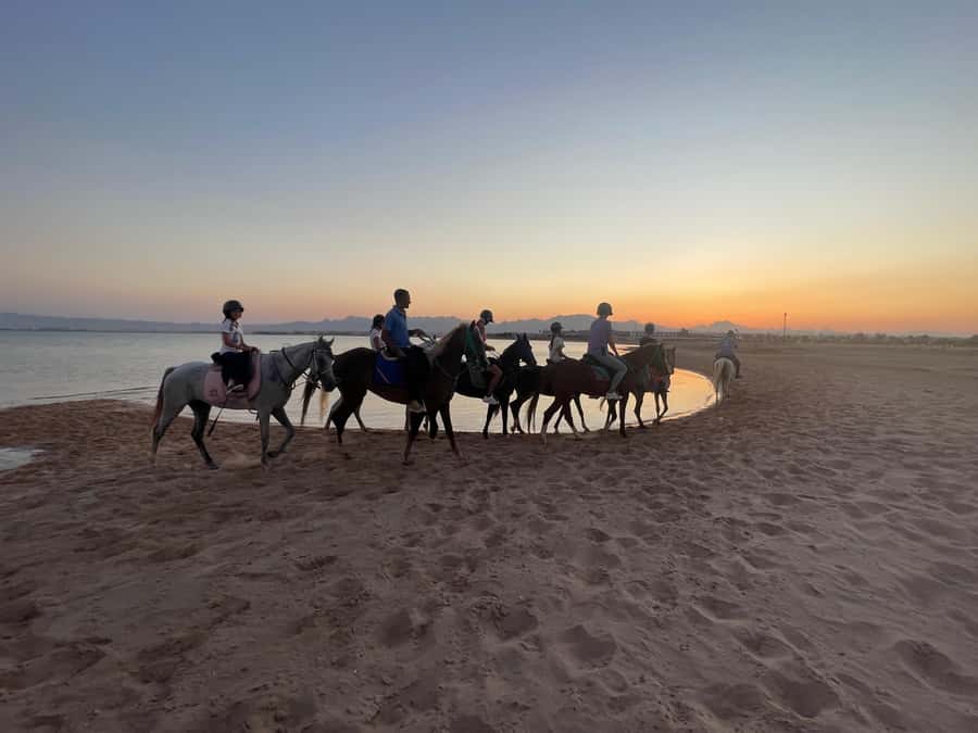Soma Bay: Horse Riding Beach and Desert Tour With Transfer - Guide support, safety, and photographs