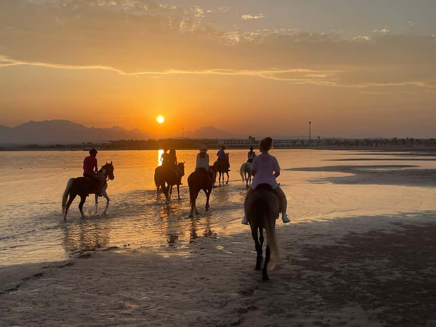 Soma Bay: Horse Riding Beach and Desert Tour With Transfer - Water, tea, and the small comforts