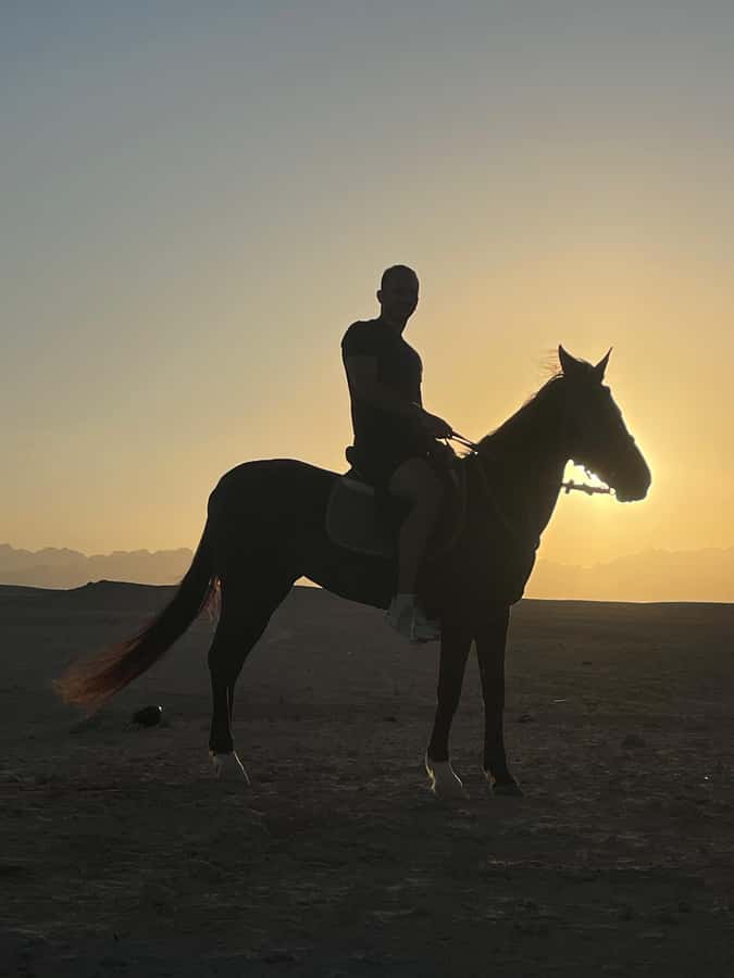 Soma Bay: Horse Riding Beach and Desert Tour With Transfer - What the $20 price really includes