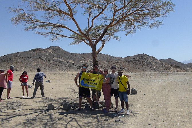 Stargazing Excursion In Hurghada with Jeep 4WD and BBQ - Camel riding for about 20 minutes