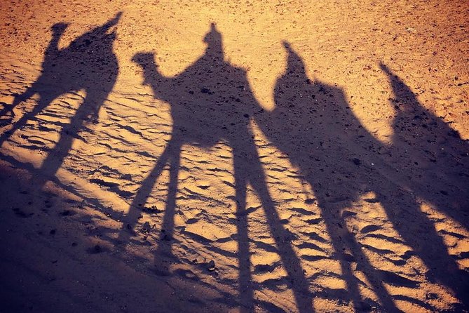 sunset at Giza pyramids by camels - What this Giza sunset camel tour is really like